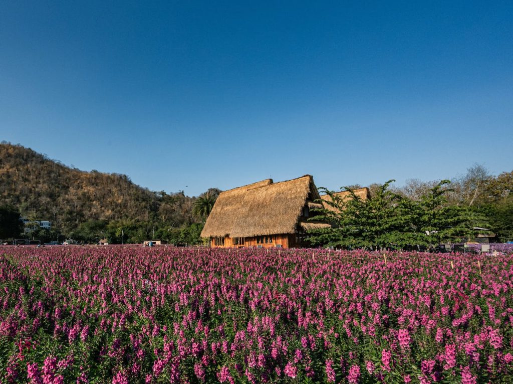 The Architecture of Inquiry: Why the Colon is Your Search-First Cornerstone